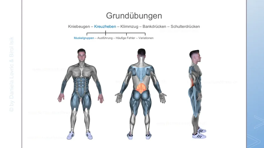 Lernunterlage der SNF Academy: Grundübungen mit Körpergrafiken und markierten Muskelgruppen