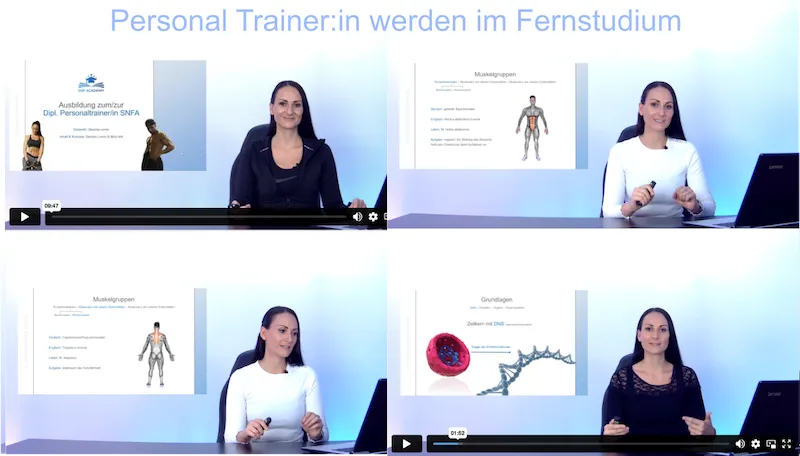 personal trainer werden im fernstudium 