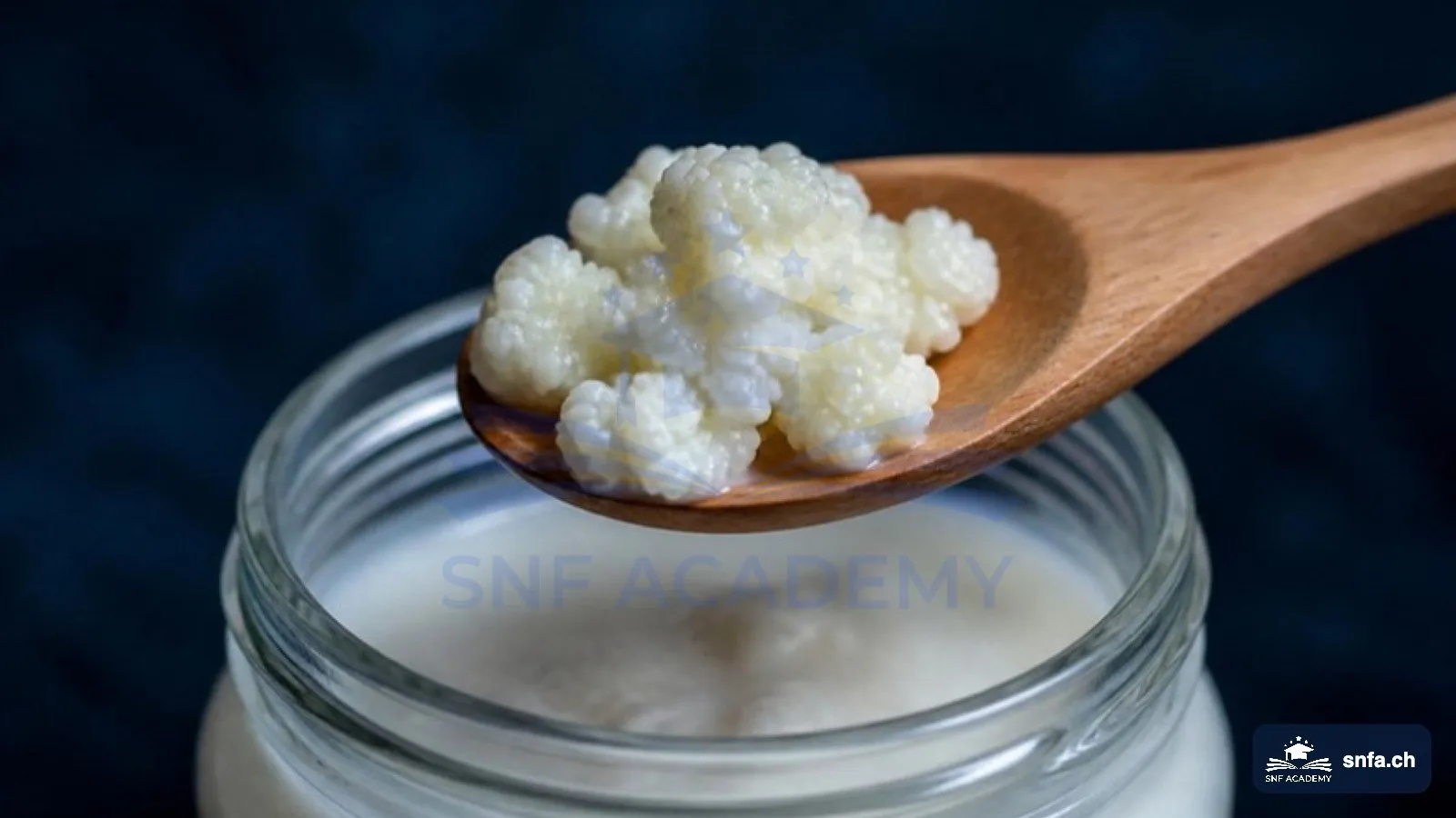 Kefir-Knollen auf einem Holzlöffel über einem Glas mit Milchkefir – SNF Academy