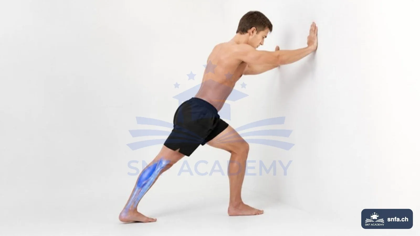 Wadenmuskulatur dehnen an der Wand: gestrecktes hinteres Bein mit blau hervorgehobener Wade – SNF Academy